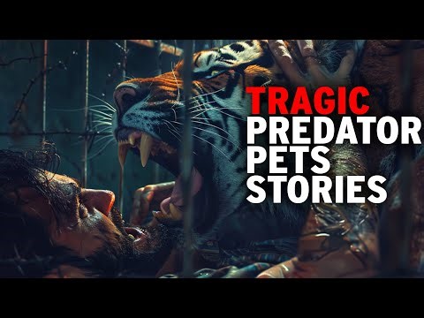 True Brutal Stories From Wild Animal Pet Owners | Predator Pets | Curious?: Natural World