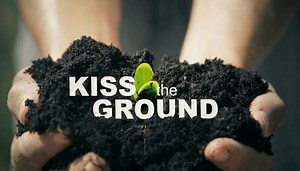 Kiss The Ground - CHCH