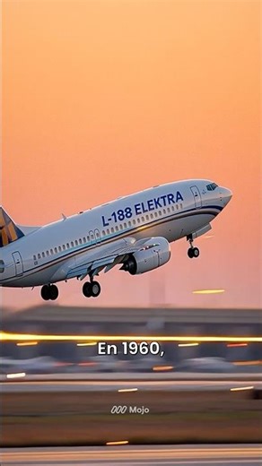 😱"What happened to Flight L-188 ELEKTRA?"