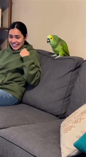 Parrot Throws Lizard at Sleeping Dog – What Happens Next Is Hilarious! 😂🐶🦜