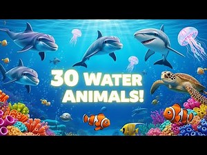 30 Animals That Live in Water Ocean & Freshwater | Ocean & Freshwater Creatures