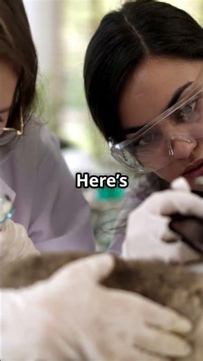 Can You Solve the Nano-Rabbit Riddle?