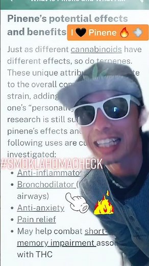 Pinene: Potential Benefits of This Powerful Terpene#pinene #terpenes #cannabiscommunity