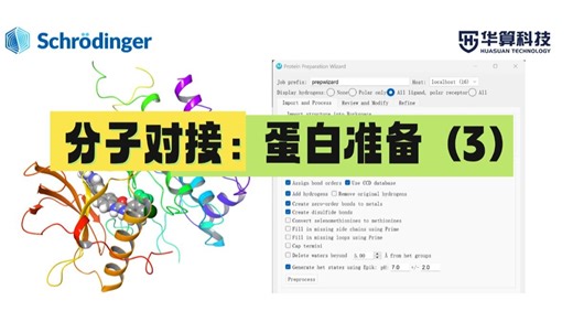 【分子对接实战】Schrödinger 蛋白预处理精讲（3）：核心模块Protein Preparation Wizard详细介绍 ！| 华算科技