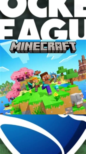 Minecraft vs rocket league/Minecraft