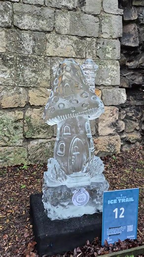Explore the Magical York Ice Trail 2026