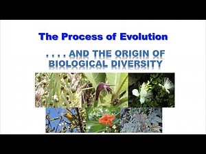 Evolution | Microevolution | Macroevolution | Genetic drift | Natural selection