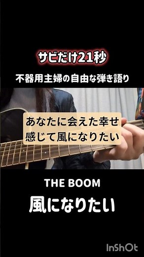 THE BOOM/風になりたい【弾き語り】