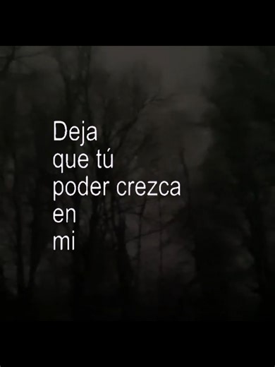 Exploring the Depths of Poison Tree Lyrics