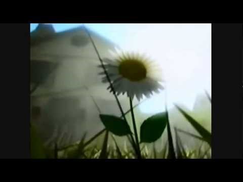 The Grim Adventures of Billy and Mandy Bumpers