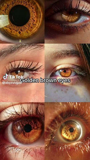 Which Eye Color Do You Have? Discover Different Eye Colors Here
