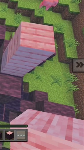 Making a mushroom house for my cousin in Minecraft :)