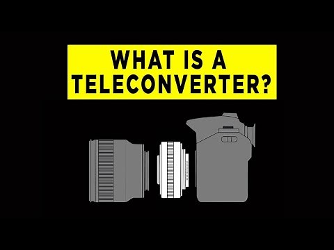 What is a Teleconverter? - Photography PX