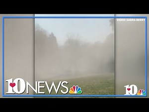 ALLERGY SUFFERER'S WORST NIGHTMARE: Cedar trees release massive pollen clouds in Andersonville