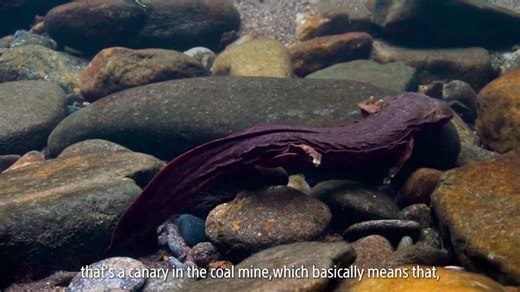 18K views · 174 reactions | ECHOES: An interview series centered around collaborative thinking on global environmental issues, featuring creators working with environmental themes. In this edition, we speak with Annie Ross and Justin Grubb, producers of the film HELLBENT, which has been nominated in the Environmental category for the 2024 Sony Future Filmmaker Award. | Sony | Facebook