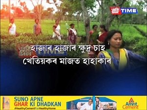 90K views · 1K reactions | Tea Growers Facing Problems In The State | Pratidin Time | Facebook