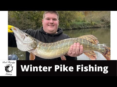 The Quest For Pike | Freshwater Fishing In The River Medway | Deadbaiting & Lure Fishing