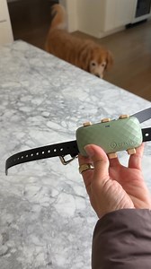 190K views · 644 reactions | The world's most trusted tracker for pets  Track live location  Get health alerts 喙 Monitor activity and sleep  Get peace of mind 易 | Tractive | Facebook