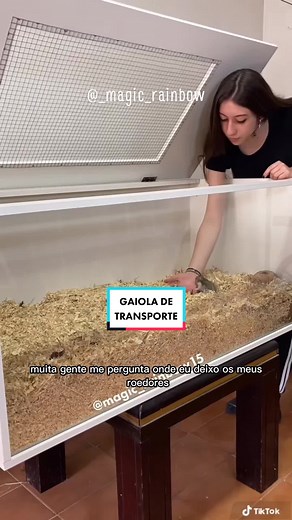 Cuidados essenciais para hamsters: Como fazer limpeza