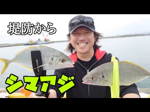 堤防からシマアジがめっちゃ釣れる方法と仕掛け教えます！【シマアジの釣り方】
