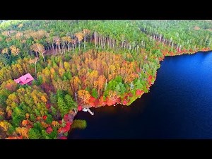 4K映像 絶景ドローン空撮「紅葉 秋の北八ヶ岳 高見石～白駒池」日本の美しい四季 長野県佐久穂町小海町 10月上旬 自然風景