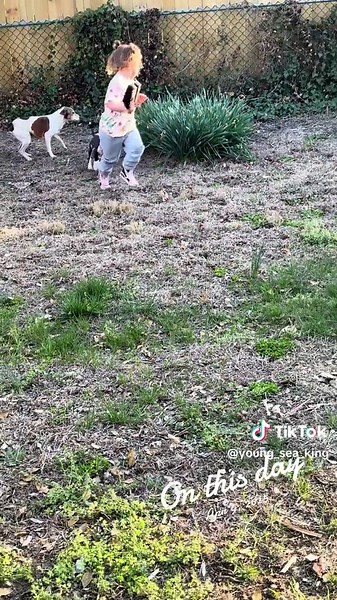 Funny Pet Antics: A Playful Practice Run!