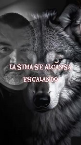 Levels | Lobo Roofing | Facebook