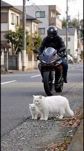 Family isn’t about species 😺🐶 | Zootopia Ai