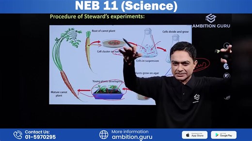 2.8K views · 52 reactions | Class 11 Science Board Exam focus Special classes .  Explore question-answer discussions to clear doubts and strengthen concepts!  Join now through the app for more insights. आजै Ambition Guru Download गर्नुहोस्: https://tny.ws/ambition For more information: www.ambition.guru | 01-5970295 #ambitionguru #class11 #science | NEB 11 & 12 - Ambition Guru | Facebook