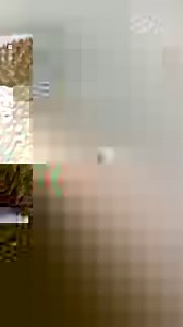 HONOR X9a vs Durian - Screen Durability Test #4 Instead of our usual screen durability test, we go extra mile of testing it with our king of fruit- Durian! Witness the challenge now! #HONORX9a is coming to you soon on 4th January 2023, 7pm, mark your calendar to unlock more details! https://bit.ly/X9aNewLaunchfb #HONOR | HONOR Malaysia