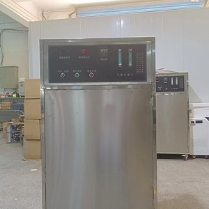 [Hot Item] Ozone Generator with Good Disinfection Effects and Suitable for Disinfection Areas 50g/H