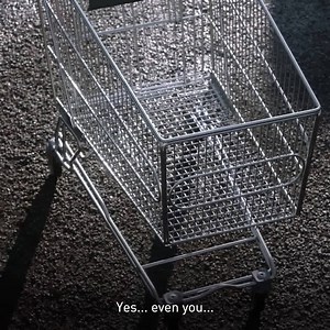 264 reactions · 77 shares | Absolutely everyone gets amazing Canadian service at low fares. Even this guy. | WestJet | Facebook