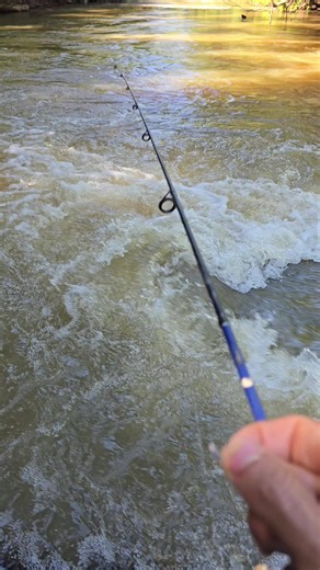 Como pegar peixe na corredeira: dica rápida