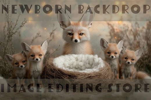 Fennec Fox Newborn Digital Backdrops - Etsy