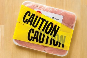 How Salmonella Infects Chicken Flocks | Plants And Animals