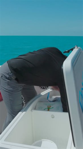 3.7K views · 85 reactions | There are a Ton of Factors that dictate where you are going to fish! : Fishing with Zeus in Key West! | S10:E2 Local Knowledge is Available on YouTube, Waypoint TV & Streaming apps | Local Knowledge | Facebook