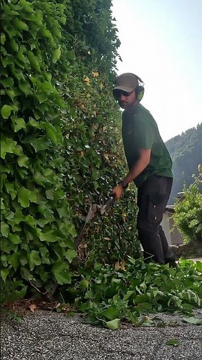 Satisfying Hedge Trimming | Pro Hedge Tool - Husqvarna 525HE3