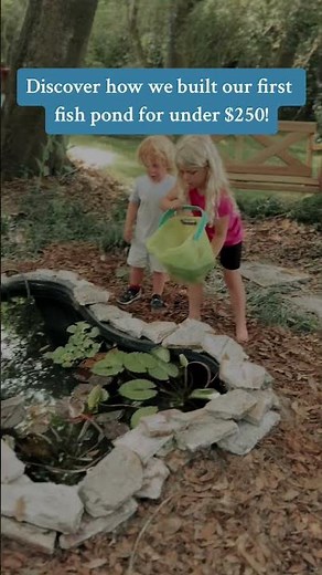 Our Backyard Fish Pond Journey: DIY Tips & Marketplace Finds #BackyardPond