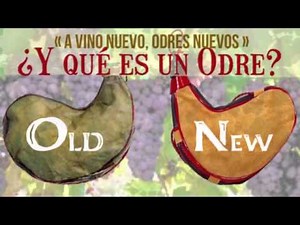 ¿QUÉ ES UN ODRE? - homilia audio