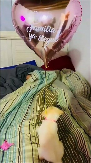 HER REACTION IS ABSOLUTELY PRICELESS😱🤯💥#shorts #cute