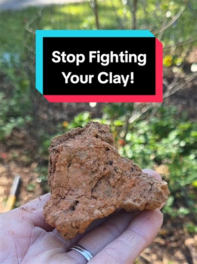Your clay soil isn't bad soil! 🌱 You just need to know how to work WITH it instead of against it! If your soil is so hard and compacted that you can barely get a shovel into it, don't give up on your garden just yet. One of the best ways to improve heavy clay soil naturally is by growing plants that help do some of the work for you! The goal isn't to fix your soil overnight. It's to build healthier, more resilient soil season after season. That's the beauty of creating a forever garden. 🌸 💚 S
