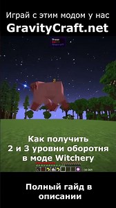 Как получить 2 и 3 уровни оборотня в моде Witchery #shorts #minecraft #майнкрафт #гайд