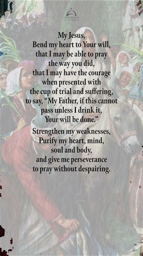 Prayer on Palm Sunday | Archdiocese of Bombay