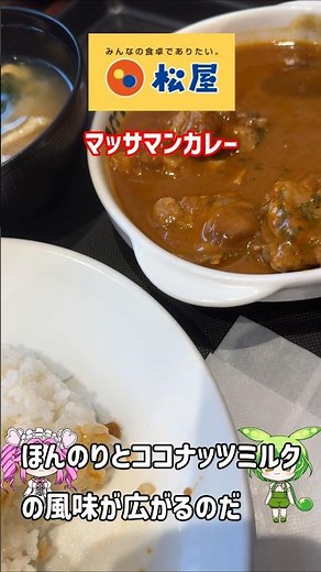 Matsuya Massaman Curry with Coconut Milk (Limited Time Offer)