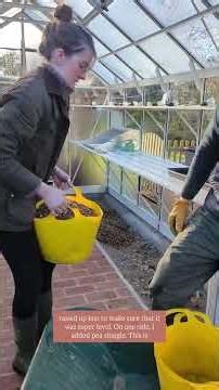 The Perfect Greenhouse Base? 🌿 Path Width & Design Secrets