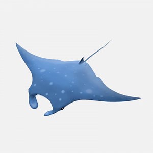 Animated Manta Ray - 3D Model by cg-bob
