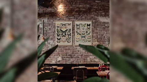 Vintage Butterflies Hanging Poster, Retro Style of Wall Art Prints, Printed on Linen with Wood Frames, Ready to Hang