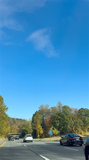 New York | New York Daily Vlogs