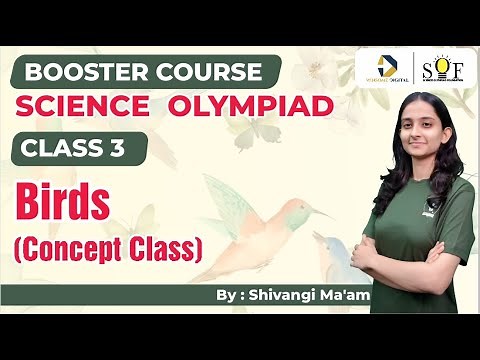 Science Olympiad Class 3 Chapter 2 | Birds | SOF NSO 2024| Complete Chapter Explanation