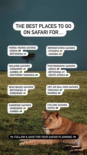 ✨ Step into the Wild with Curious Safaris ✨ Luxury game drives, golden sunsets, and stories you’ll tell for a lifetime—your dream African adventure starts here. 🦁🌍 Let’s turn “someday” into right now. #CuriousSafaris #LuxurySafariExperience #ExploreEastAfrica #BigFiveAdventure #TravelBeyondOrdinary